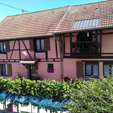 Gites & Camping On The Route Des Vins Bergheim Bagian luar foto