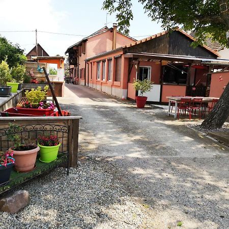 Gites & Camping On The Route Des Vins Bergheim Bagian luar foto