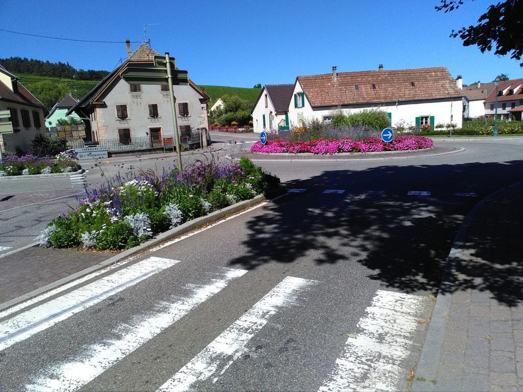 Gites & Camping On The Route Des Vins Bergheim Bagian luar foto