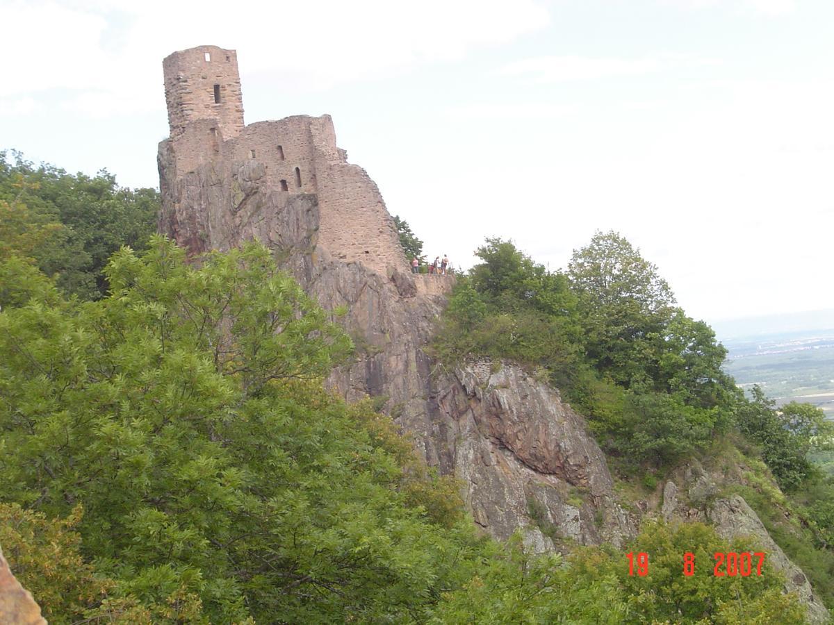 Gites & Camping On The Route Des Vins Bergheim Bagian luar foto