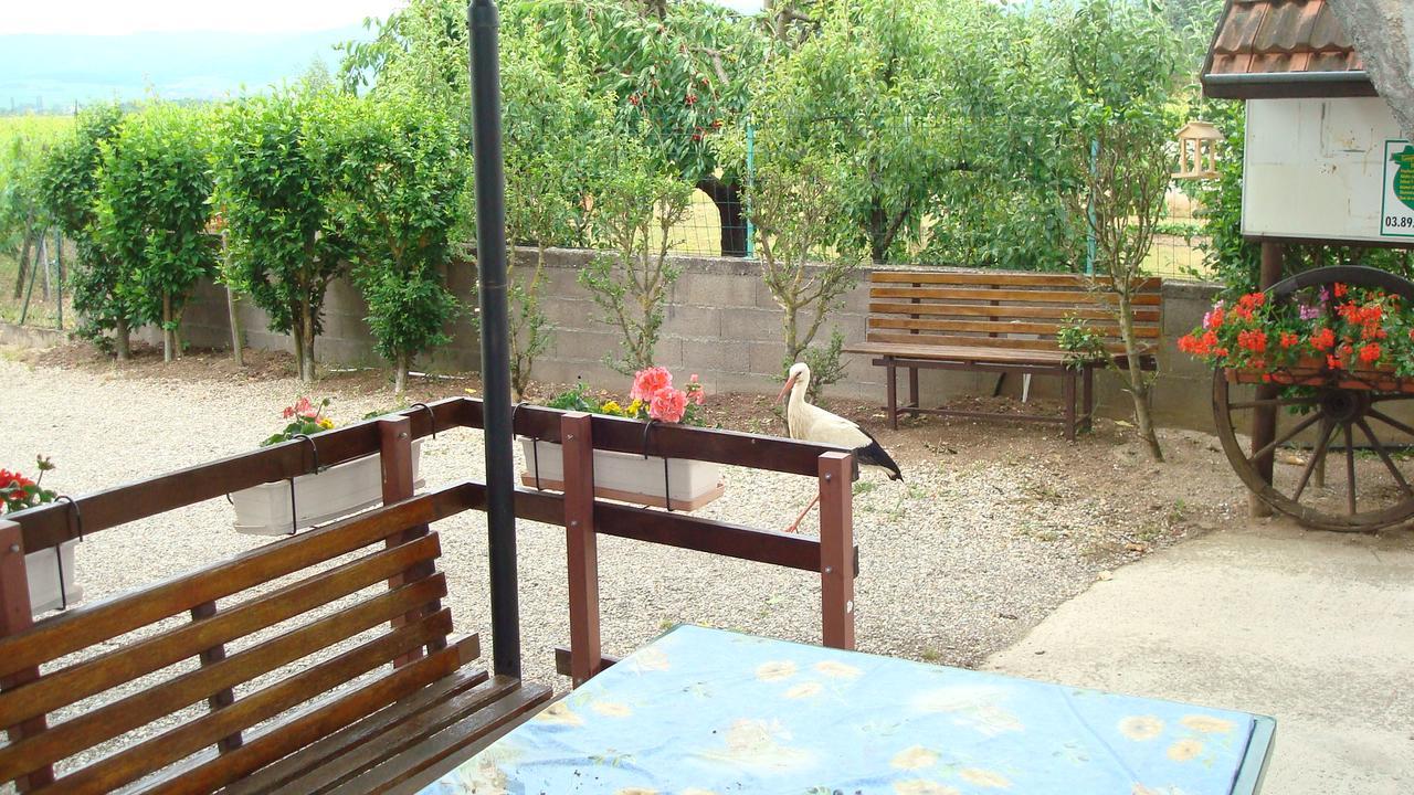 Gites & Camping On The Route Des Vins Bergheim Bagian luar foto