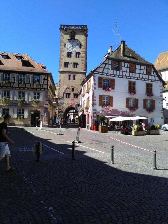 Gites & Camping On The Route Des Vins Bergheim Bagian luar foto